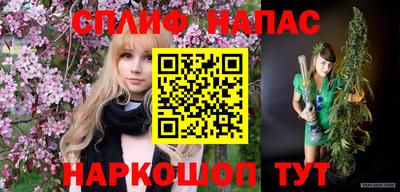 a pvp Дубна
