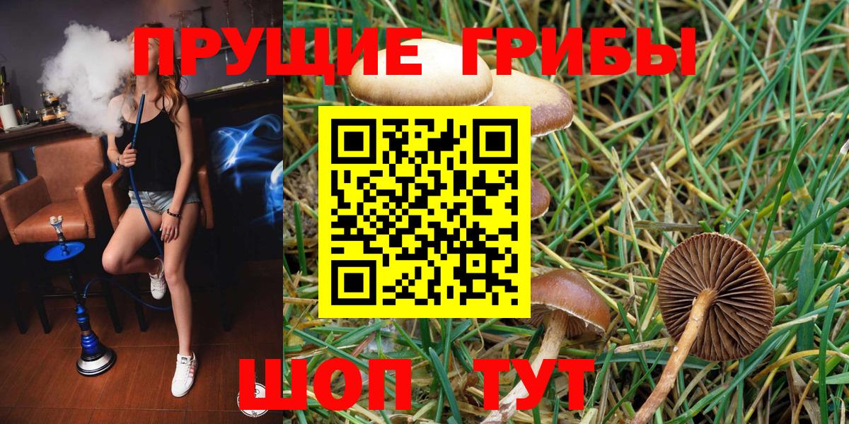 Лосино-Петровский  Псилоцибиновые грибы мухоморы  Вход с VPN 